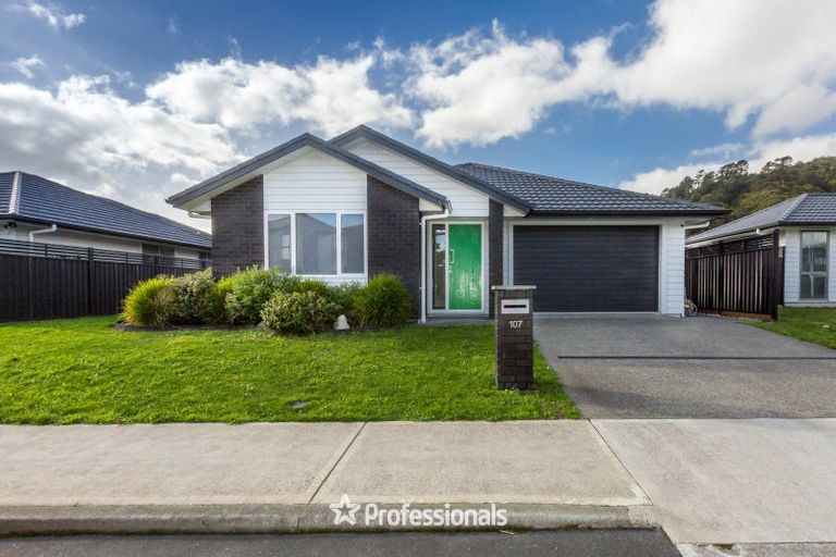 Photo of property in 107 Mawai Hakona Drive, Wallaceville, Upper Hutt, 5018