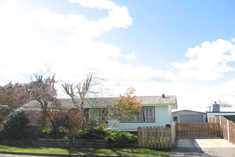 Photo of property in 3 Latham Stubbs Crescent, Waipawa, 4210