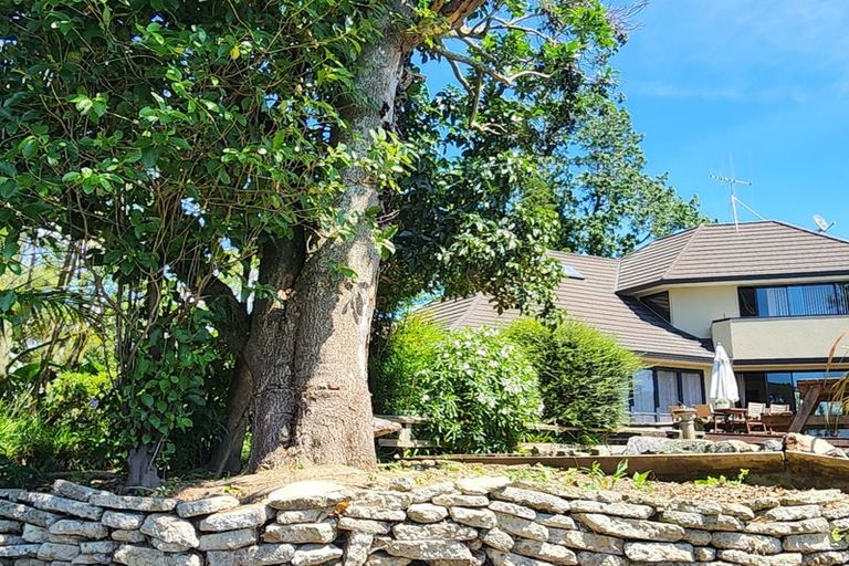 Photo of property in 1205 State Highway 57, Shannon, Palmerston North, 4474