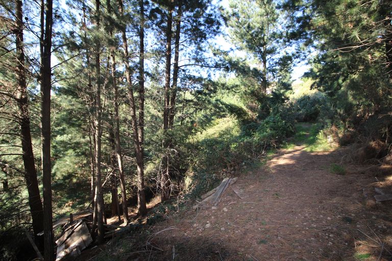 Photo of property in 70 Holliss Avenue, Cashmere, Christchurch, 8022