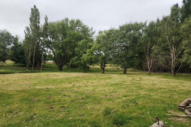 Photo of property in 56 Forest Street, Lumsden, 9730