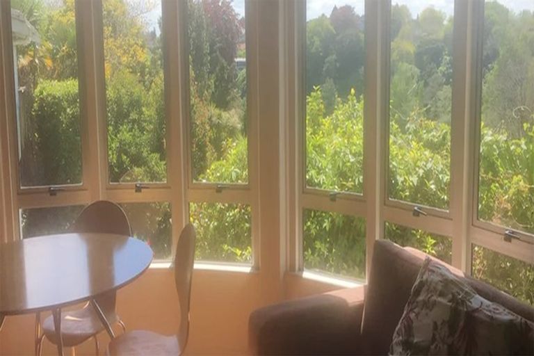 Photo of property in 12a Little London Lane, Hamilton Central, Hamilton, 3204