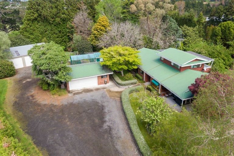 Photo of property in 21 Rea Road, Tahawai, Katikati, 3178