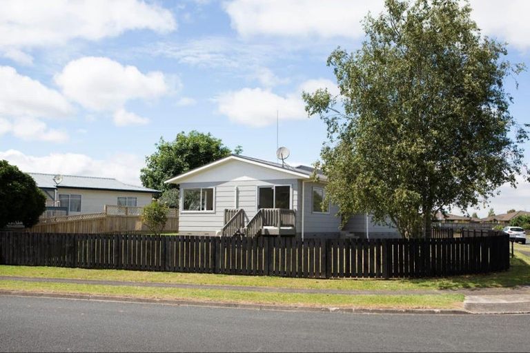 Photo of property in 161 Pollard Drive, Te Awamutu, 3800