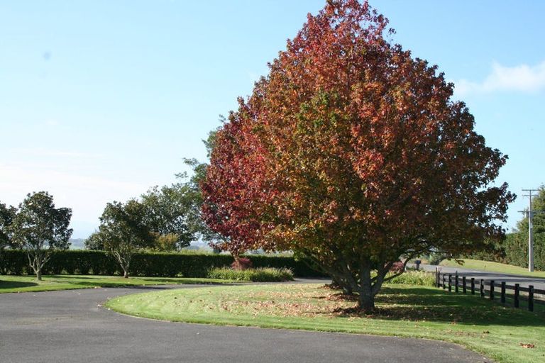 Photo of property in 42 Budden Road, Pokuru, Te Awamutu, 3875