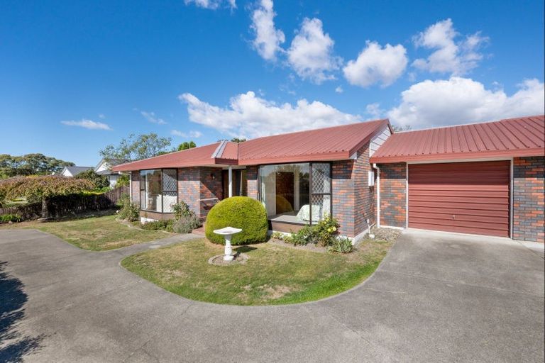 Photo of property in 55 Brooklyn Drive, Redwoodtown, Blenheim, 7201
