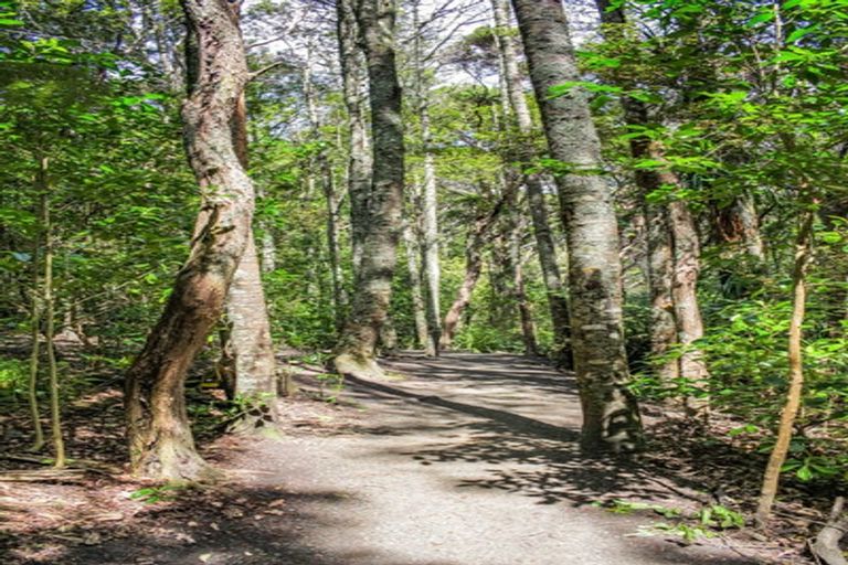 Photo of property in 2/46 Gladstone Road, Northcote, Auckland, 0627