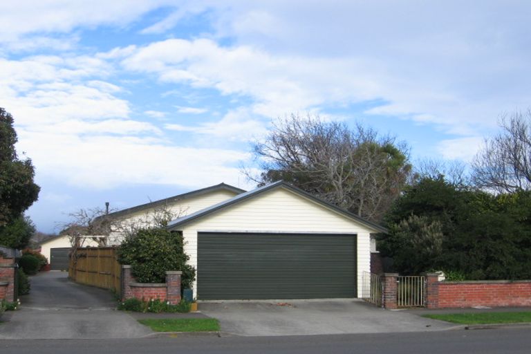 Photo of property in 46a Limbrick Street, Terrace End, Palmerston North, 4410