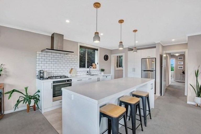 Photo of property in 65 Pitcairn Street, Belleknowes, Dunedin, 9011