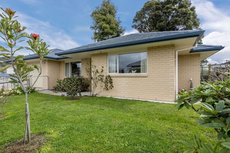 Photo of property in 71 Rugby Street, Levin, 5510