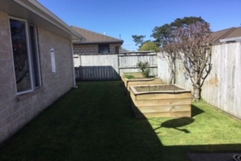 Photo of property in 65 Condor Drive, Pyes Pa, Tauranga, 3112