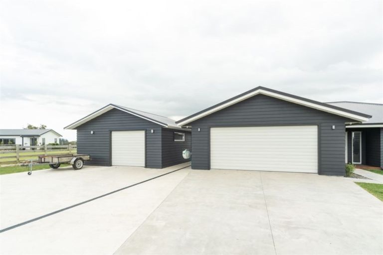 Photo of property in 61 Wapiti Avenue, Feilding, 4775