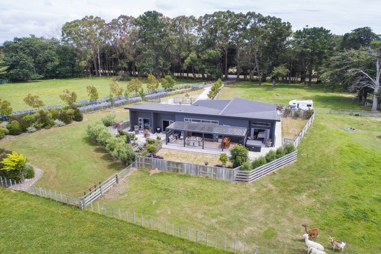 Photo of property in 97 Reid Line East, Aorangi, Feilding, 4775