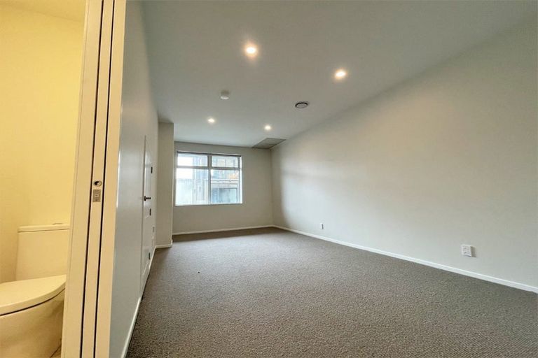 Photo of property in Aniva Terrace, 18 Ferguson Street, Newtown, Wellington, 6021