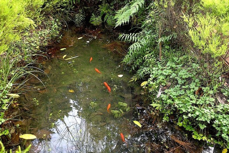 Photo of property in 24 Penryn Drive, Camborne, Porirua, 5026