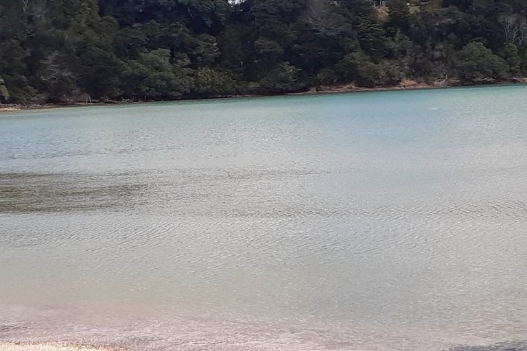 Photo of property in 73 Pipiroa Road, Ngatea, 3503