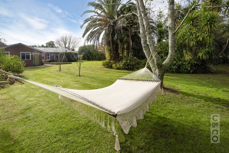 Photo of property in 31 Waimauku Station Road, Waimauku, 0812