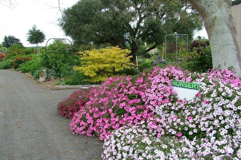 Photo of property in 4726 State Highway 1, Hunterville, 4785