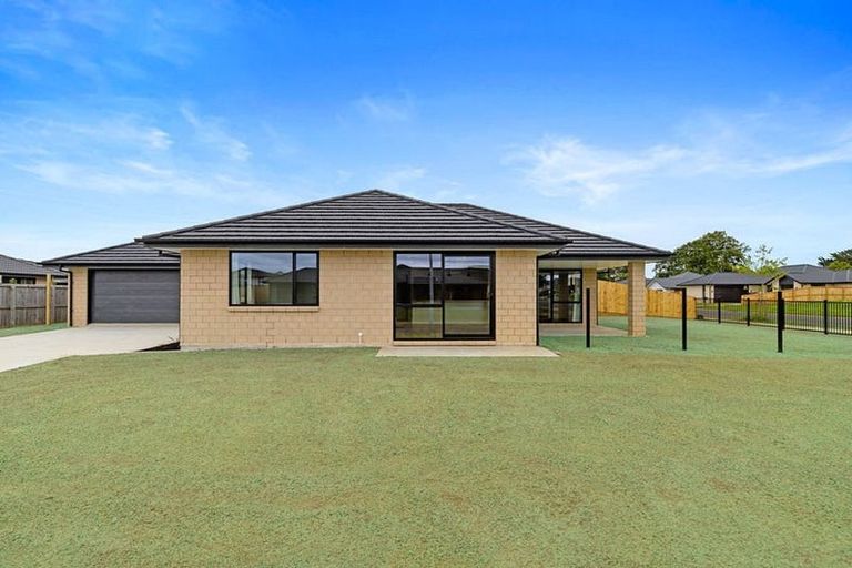 Photo of property in 40 Murray Ward Drive, Te Kauwhata, 3710