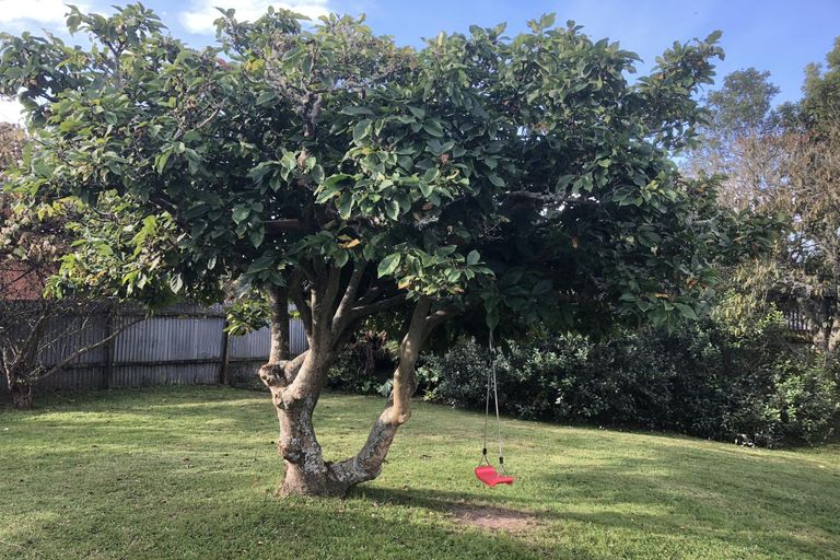 Photo of property in 4 Bradley Street, Ngaruawahia, 3720