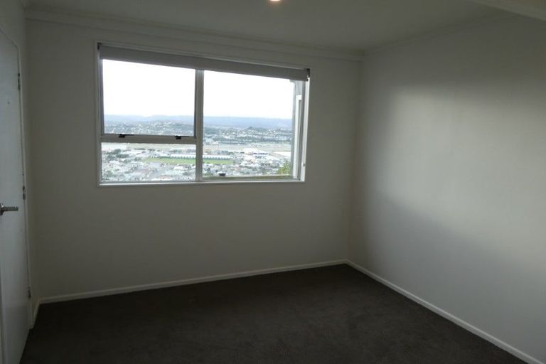 Photo of property in 53 Sutherland Road, Melrose, Wellington, 6023