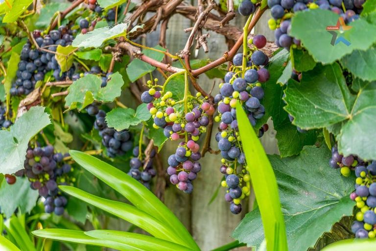 Photo of property in 5 Mokopuna Grove, Stokes Valley, Lower Hutt, 5019