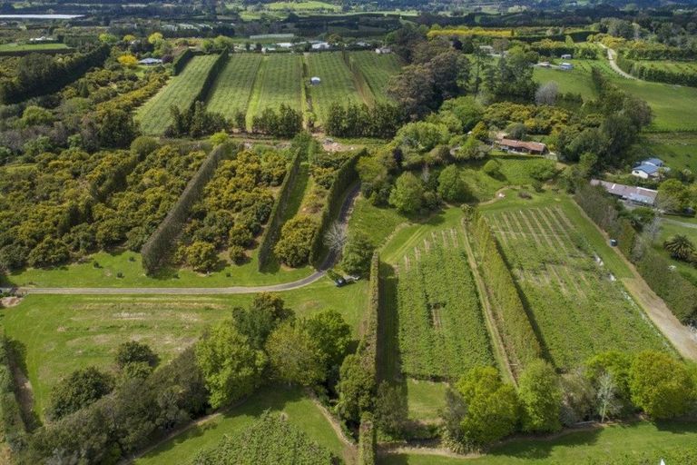 Photo of property in 2603 State Highway 2, Aongatete, Katikati, 3178