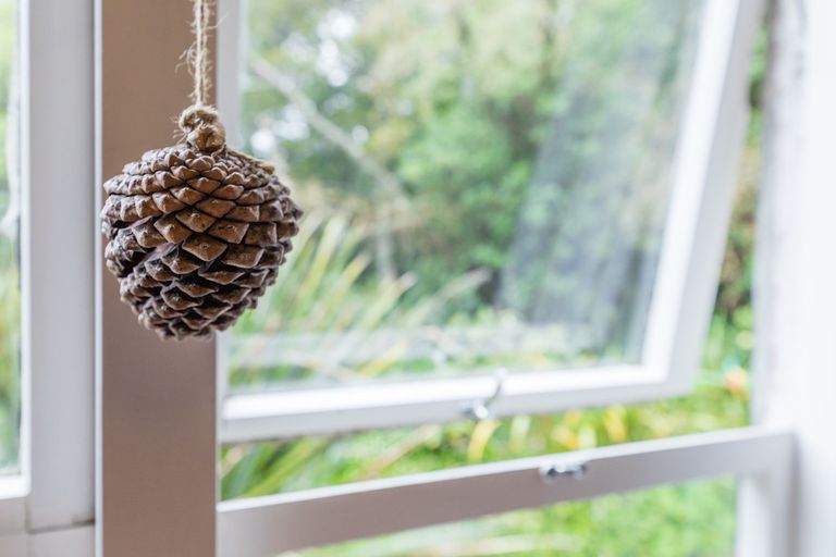 Photo of property in 187 Victory Road, Laingholm, Auckland, 0604