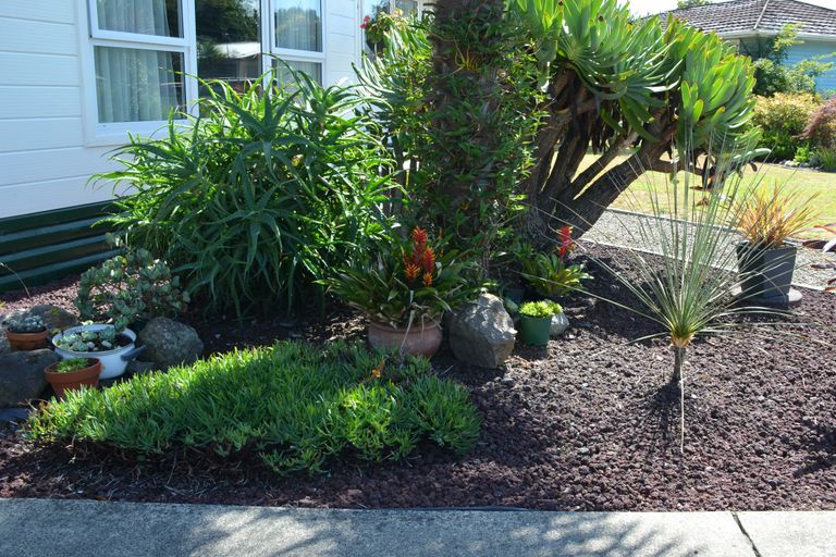 Photo of property in 6 Fraser Street, Kawerau, 3127