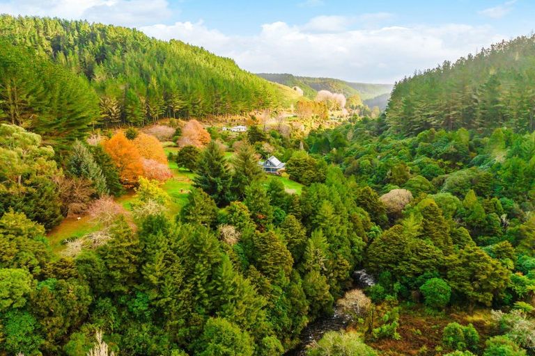 Photo of property in 2005 Ongarue Stream Road, Waimiha, 3998