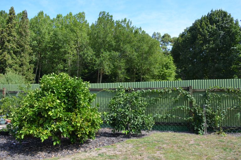 Photo of property in 6 Fraser Street, Kawerau, 3127