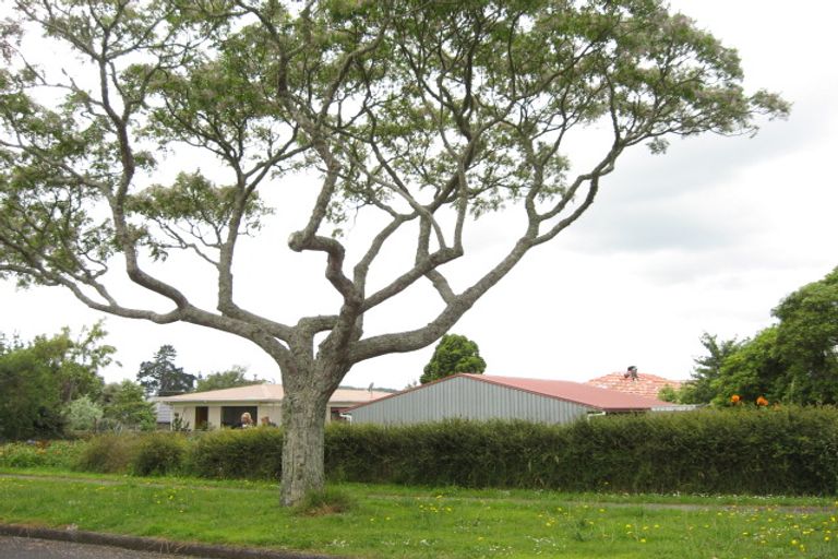 Photo of property in 1 Girdhar Place, Pukekohe, 2120