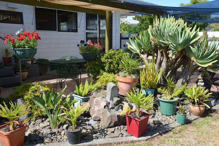 Photo of property in 6 Fraser Street, Kawerau, 3127