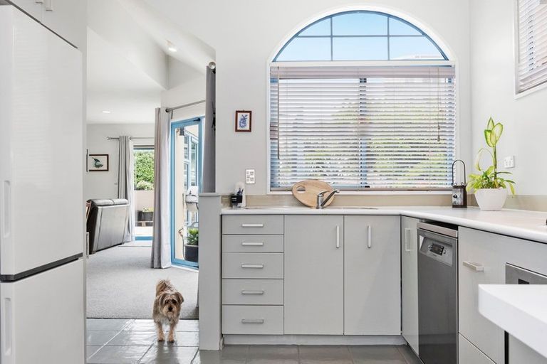 Photo of property in 24a Terrace Avenue, Mount Maunganui, 3116