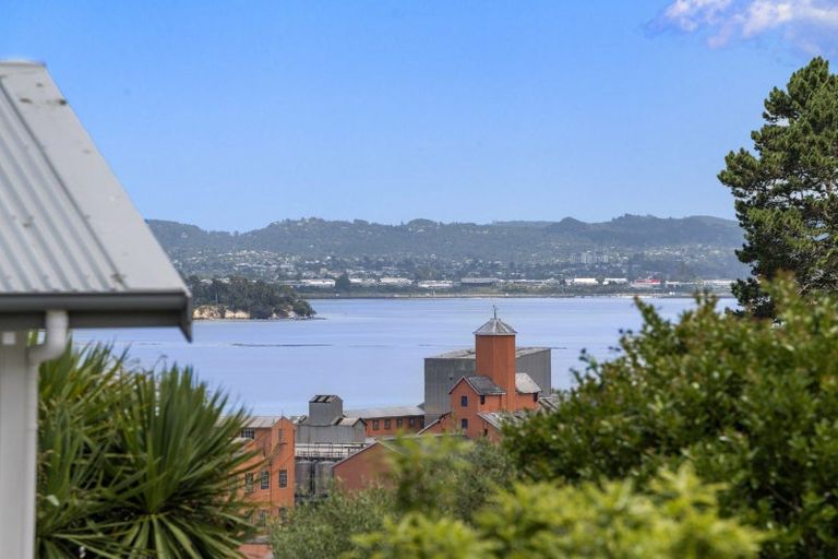 Photo of property in 68 Palmerston Road, Birkenhead, Auckland, 0626