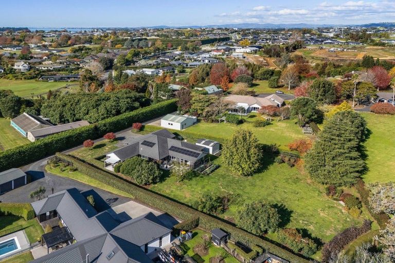Photo of property in 8 Astelia Drive, Omokoroa, 3114