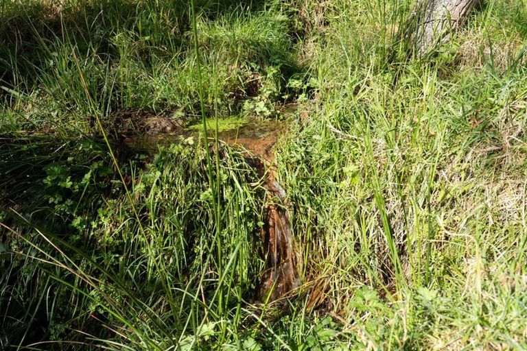 Photo of property in 1658 Ruapekapeka Road, Kawakawa, 0182