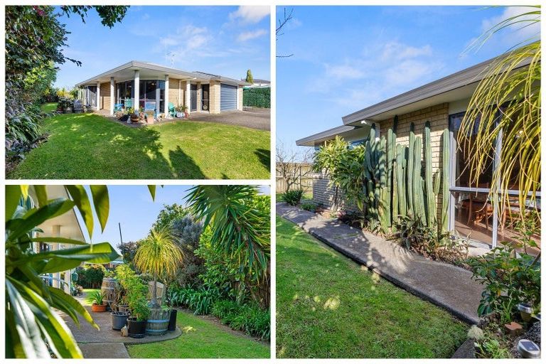 Photo of property in 29 Luculia Drive, Mount Maunganui, 3116