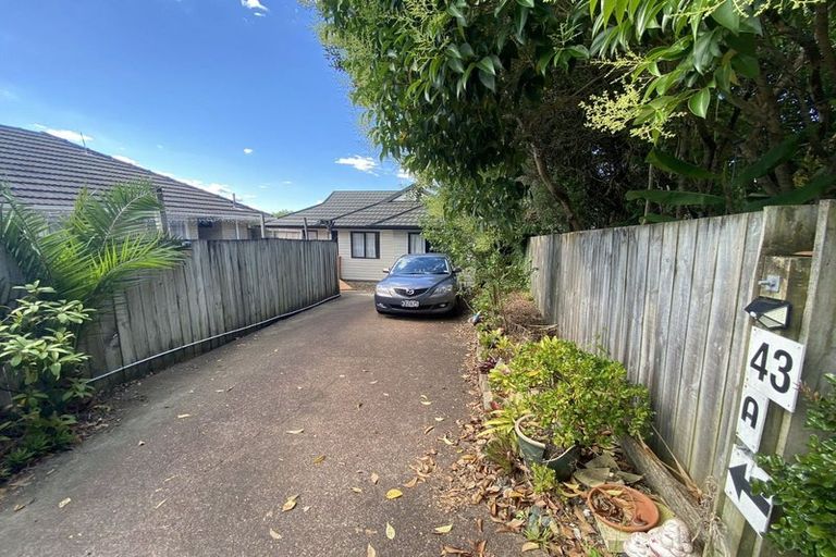 Photo of property in 43 Blease Street, New Lynn, Auckland, 0600