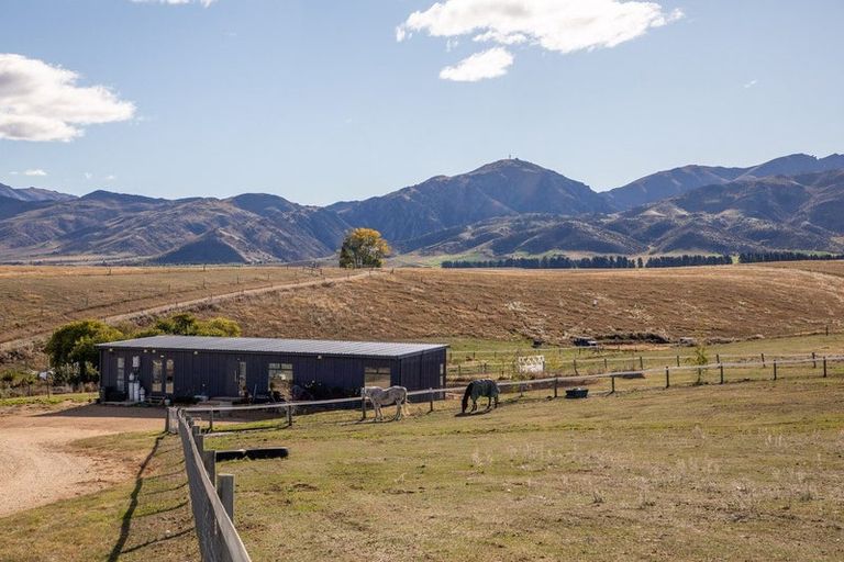 Photo of property in 239 Nelsen Ridge Road, Waikerikeri, Alexandra, 9393