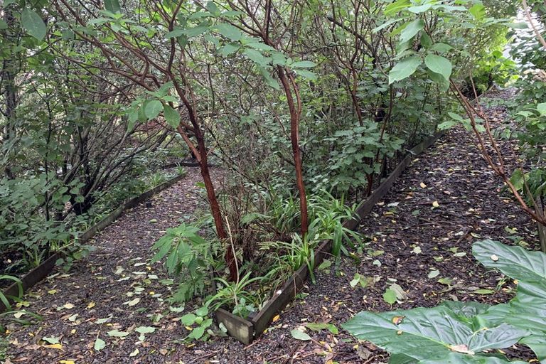 Photo of property in 14 Kilkenny Place, Fitzherbert, Palmerston North, 4410