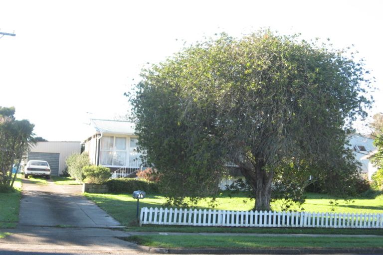 Photo of property in 129 Maich Road, Manurewa, Auckland, 2102