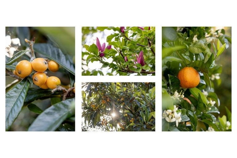 Photo of property in 116 Minden Road, Minden, Tauranga, 3176