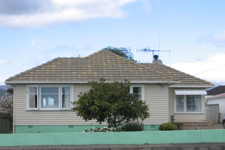 Photo of property in 96 Tiro Tiro Road, Levin, 5510