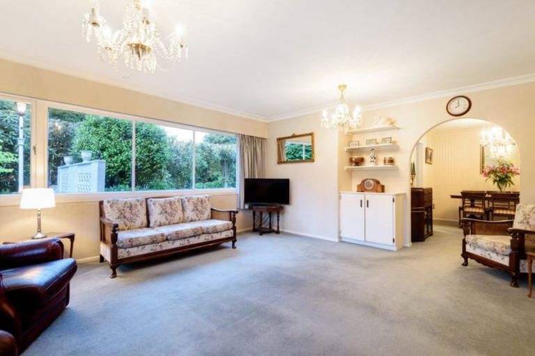 Photo of property in 36 Fraser Street, Tauranga South, Tauranga, 3112