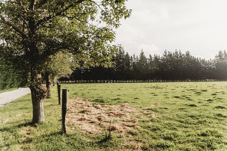 Photo of property in 239 Whites Road, Ohoka, Kaiapoi, 7692