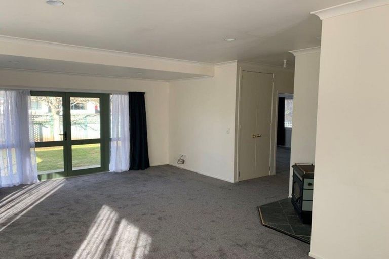 Photo of property in 19 Rata Street, Matamata, 3400