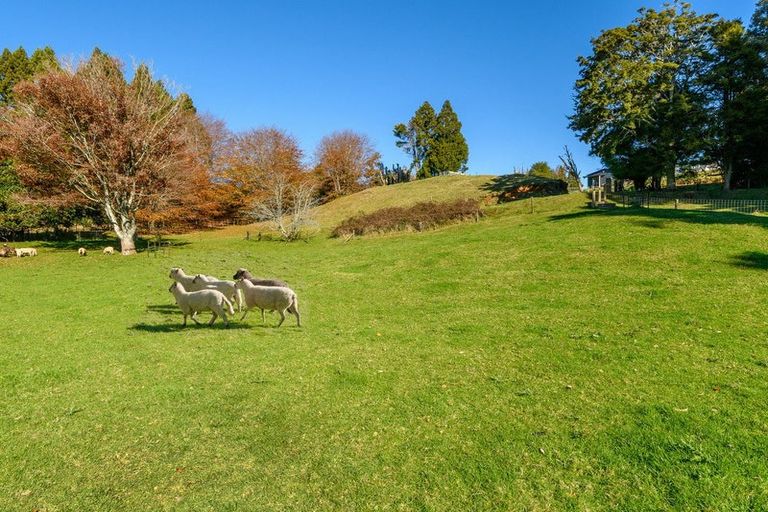 Photo of property in 98 Glue Pot Road, Oropi, Tauranga, 3173