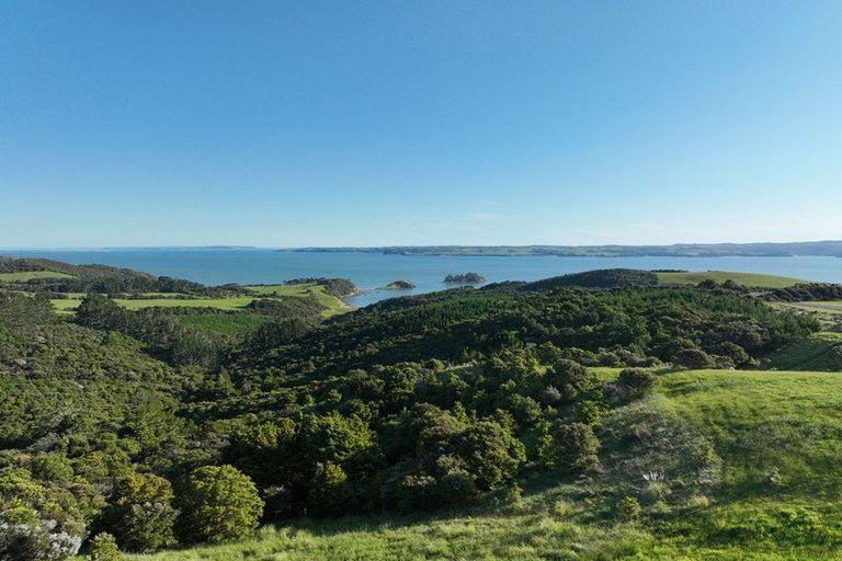 Photo of property in 986 Tinopai Road, Tinopai, Matakohe, 0593