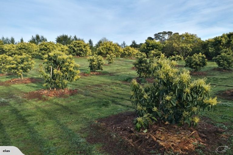 Photo of property in 704 Ngunguru Road, Glenbervie, Whangarei, 0173